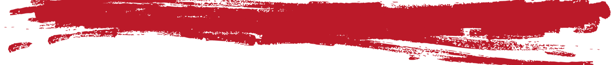 Pinselstrich rot (1)_edited.png