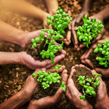 Sustainability in Action at the 2025 NSS Conference