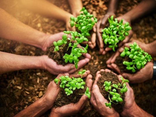 Sustainability in Action at the 2025 NSS Conference