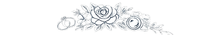 logo without background.png