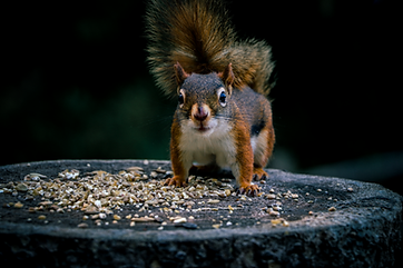 IMG_0894.png