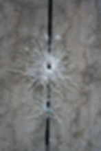Commercial Cobweb removal