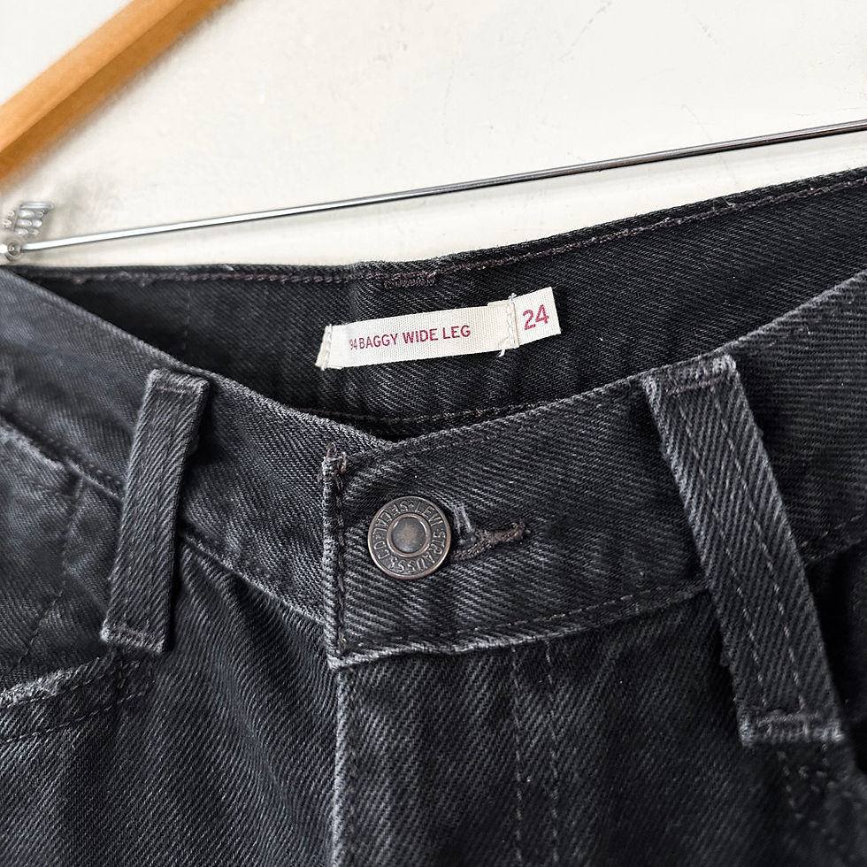 Miniatura: Jean Levis