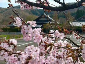 4月 「時は流れている」