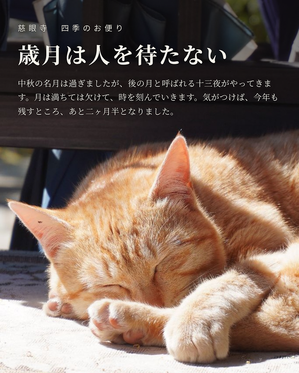 四季のお便り10月 「歳月は人を待たない」