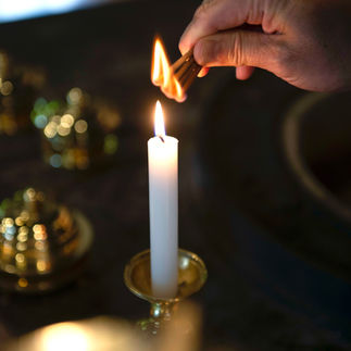 4月 　「自分が一本の木であるとしたら」