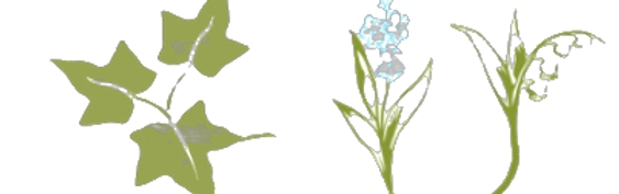 ivy leaf_edited.png