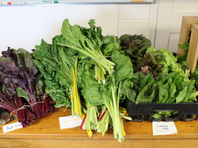 Sustainable Food Initiative.jpg