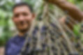 acai_marcelocamargo-abr.jpeg