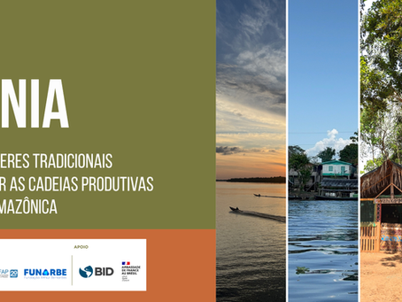 banner do programa desafios da amazônia, onde se lê: "programa desafios da amazônia: ciência, inovação e saberes tradicionais unidos para fortalecer as cadeias produtivas da sociobioeconomia amazônica". Há frames de fotos da Amazônia.