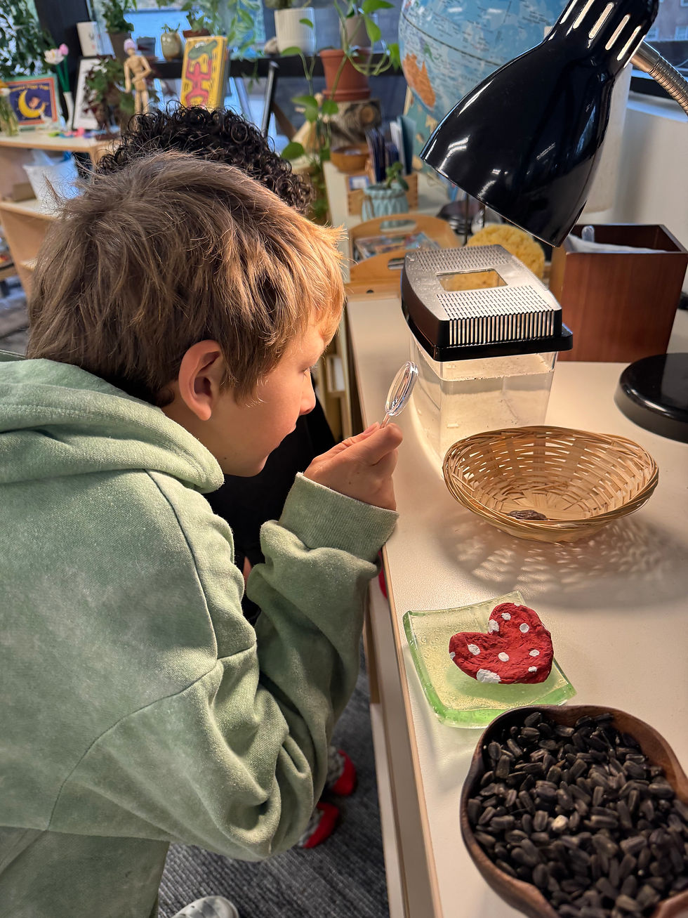 Getting up close and personal with science—hands-on adventures in real-life observation! 🔍🧪