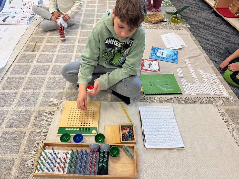 Building Analytical Minds: Montessori Math in Action.