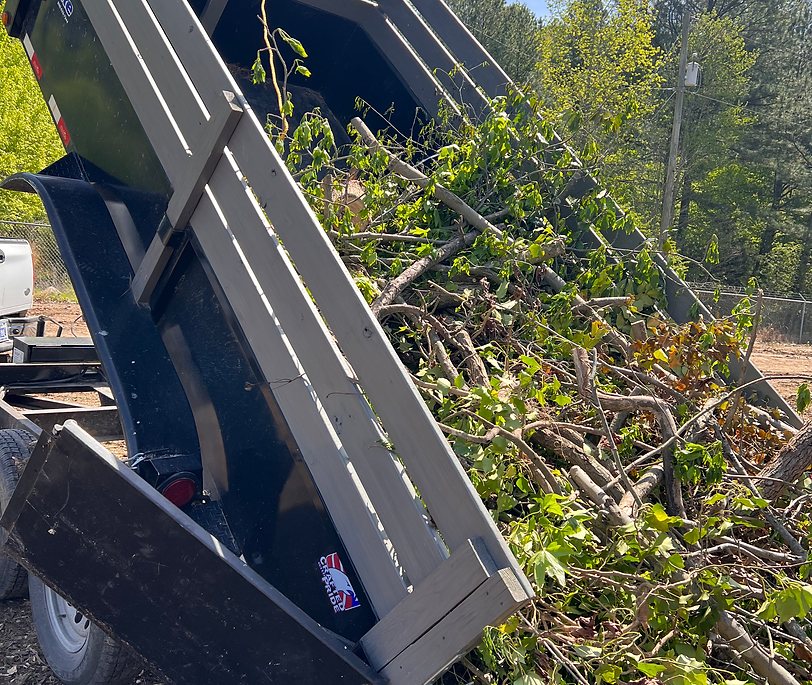 Yard debris and outdoor junk removal in Durham, NC