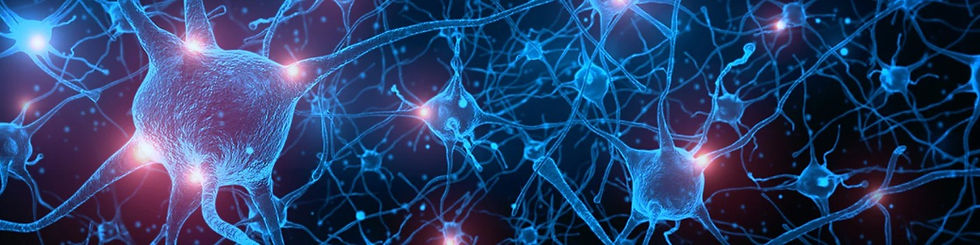 Neurons.jpeg