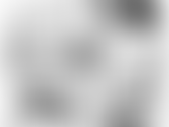 💻 Discovery Sparks: Exploring Software Engineering & Digital Coding