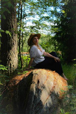 Boat in forest