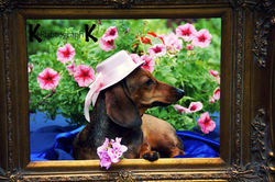 Flower dog