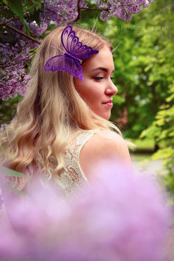 Butterfly and lilac