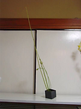 ikebana