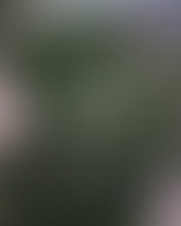 LOOK-BOX wünscht allen 