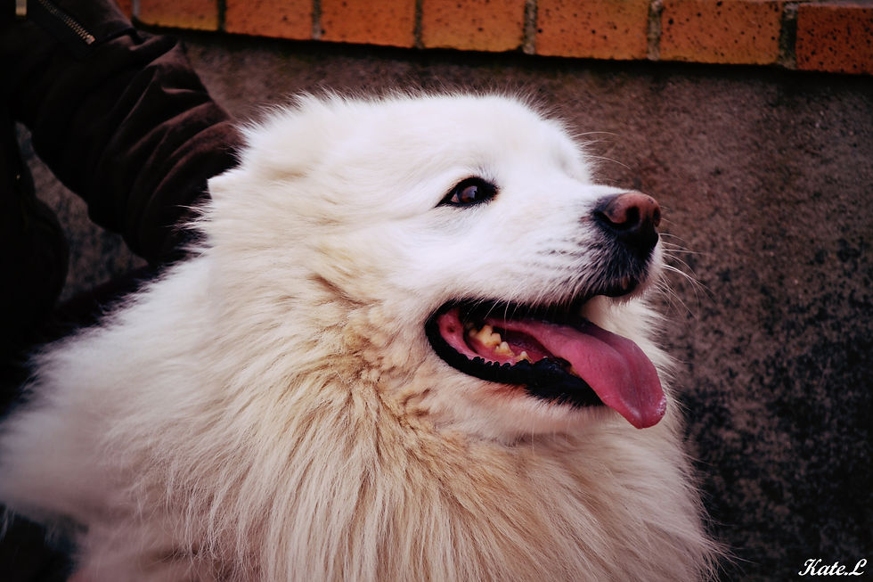 Sourire de ballade