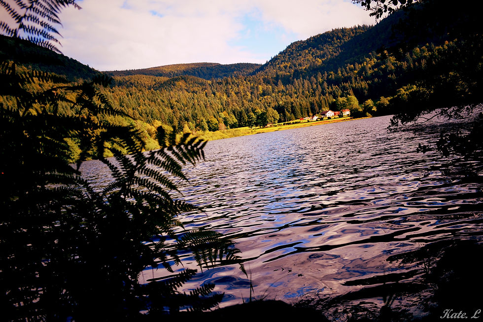 Vue sur l'eau