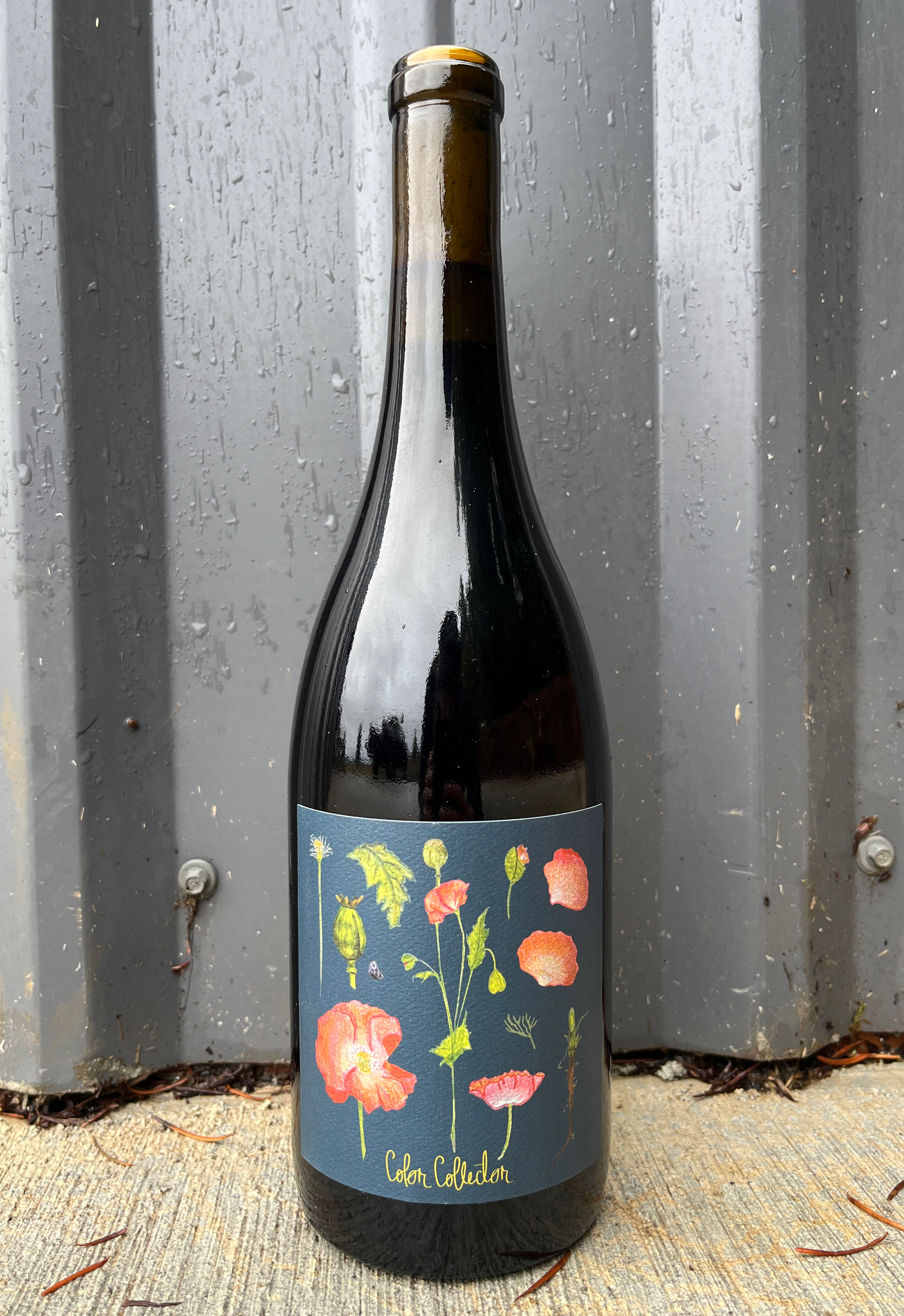 2022 Björnson Vineyard Gamay