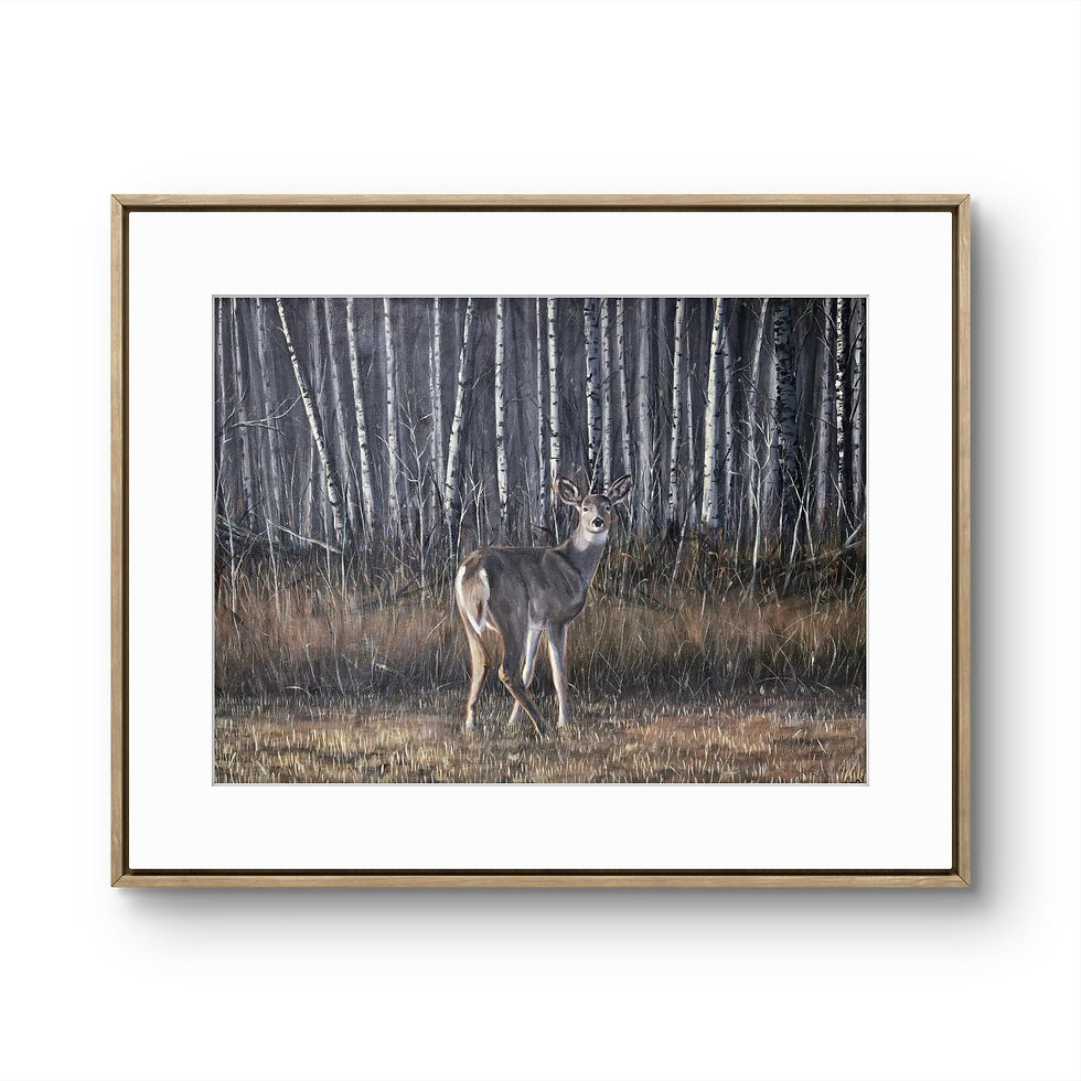 "Tentative" $25