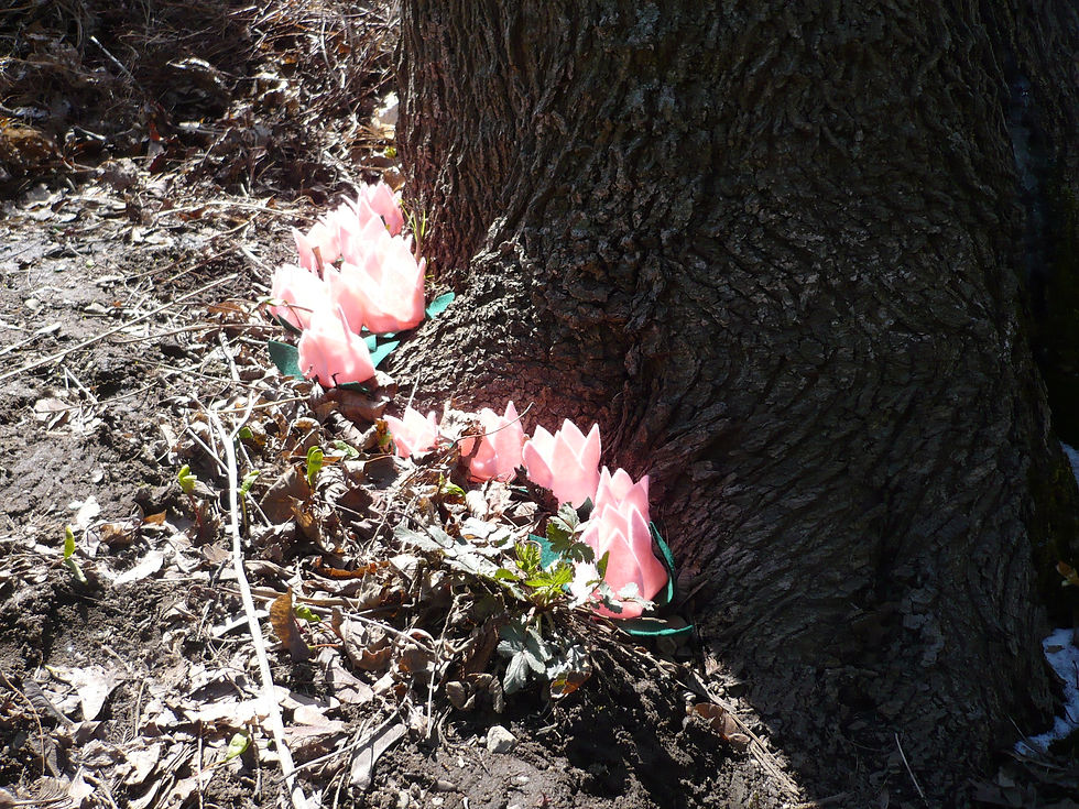 Jardins secrets, 2012