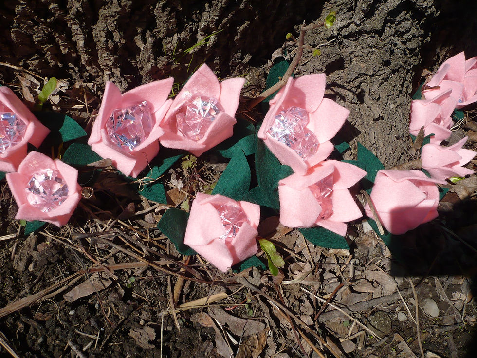 Jardins secrets, 2012
