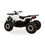 Thumbnail: Phantom Electric 1000W ATV - Max Load Capacity - 200KG