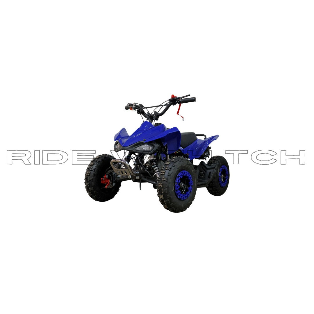 49CC Viper ATV Bike For Kids - 2 Stroke Engine (Max Load Capacity - 110Kg)