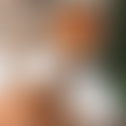 What Is Coconut Sugar? Can I Make It At Home?