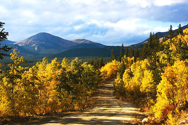 Align, Transform, Reset.... Fall Solstice Yoga Retreat