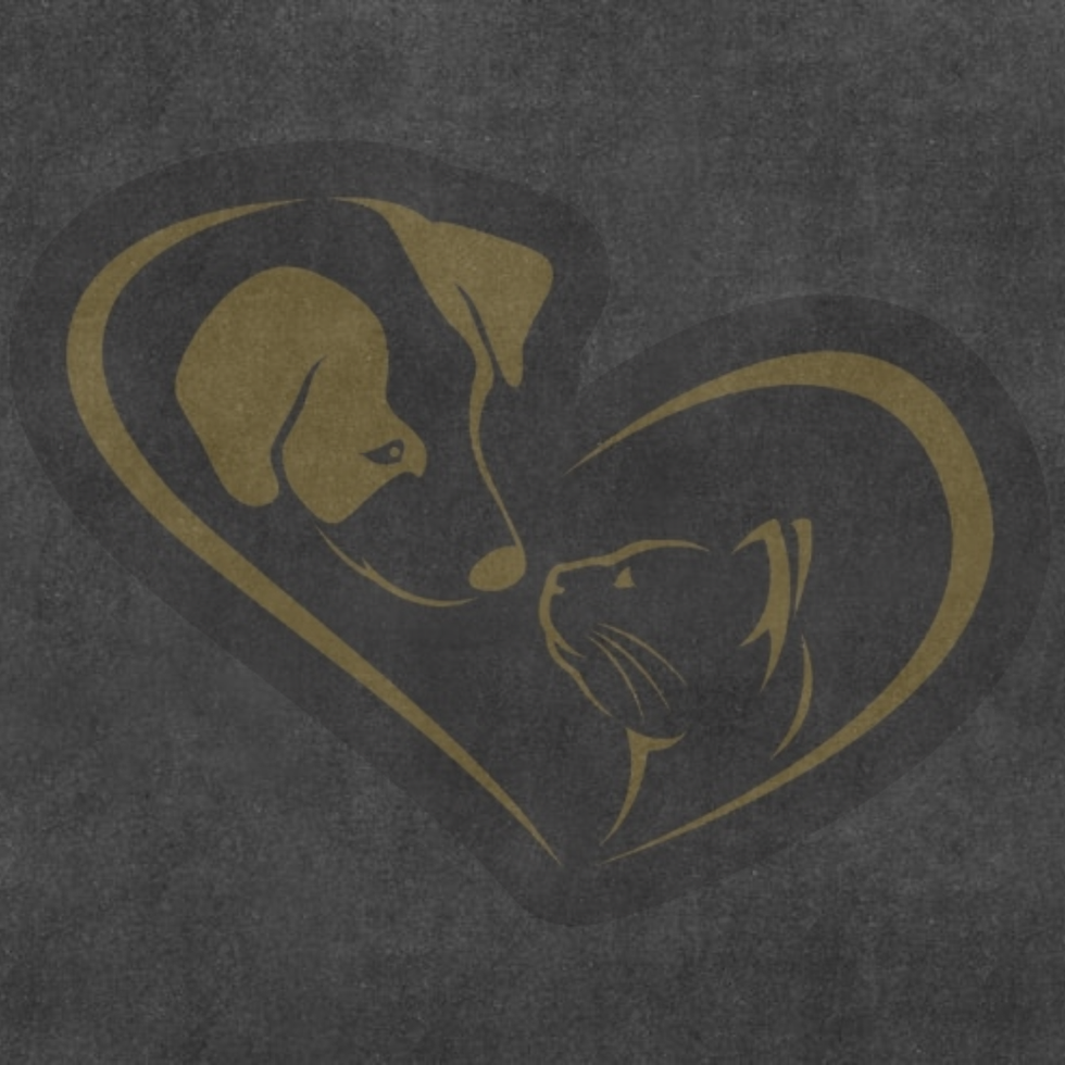 Design Plano de fundo.png