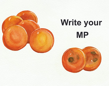 Pennanen%2520Life%2520Stage%2520Illustra