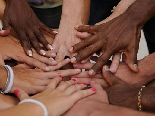 Criatividade é a Diversidade Integrada