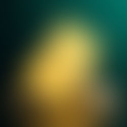 Vendor management is all about relationship, credibility, and trust. This is a story about a new vendor partner that became the Gold Standard in partnership.