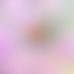 A Spring of Second Chances