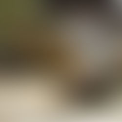 Turning Tears into Wells