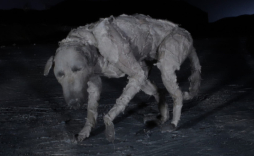 PuppyDog_Edited_edited_edited.jpg