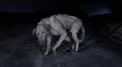 PuppyDog_Edited_edited.jpg