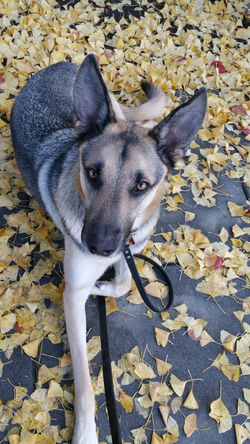 Photo update on my walk