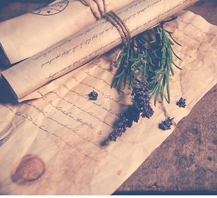 Untitled design (7).png