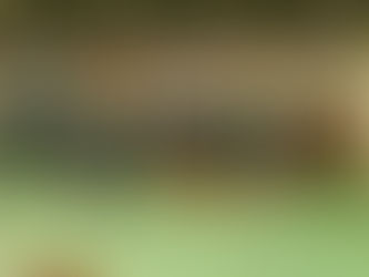 Handbol Gavà grana vs. Aleví femení