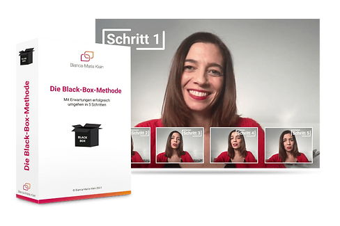 Black-Box-Methode_800 (1).png