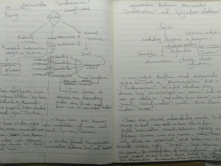 Theory the "customarism" de Maimonides and subjective idealism His theory might be on refl