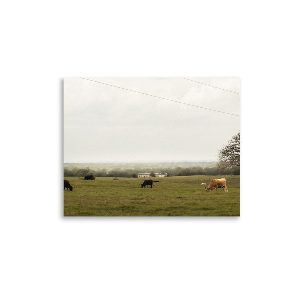 Thumbnail: Pasture