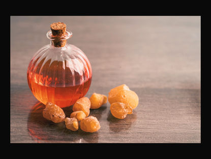 Harnessing the Power of Balsam: Unveiling its Magickal and Metaphysical Properties