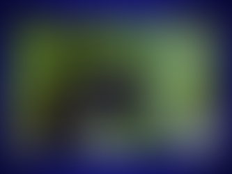 The Power of Catnip in Witchcraft: Its Mystical Properties Uncovered